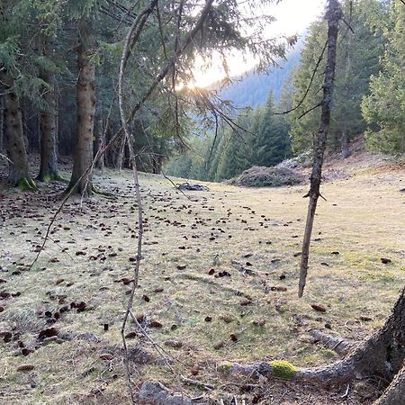 Do-Minus Boutique Home & Private Spa Ca Pedrot Mountain Cottage モンテ・カラッソ エクステリア 写真