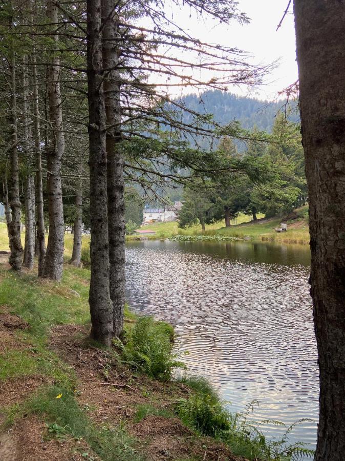 Do-Minus Boutique Home & Private Spa Ca Pedrot Mountain Cottage モンテ・カラッソ エクステリア 写真