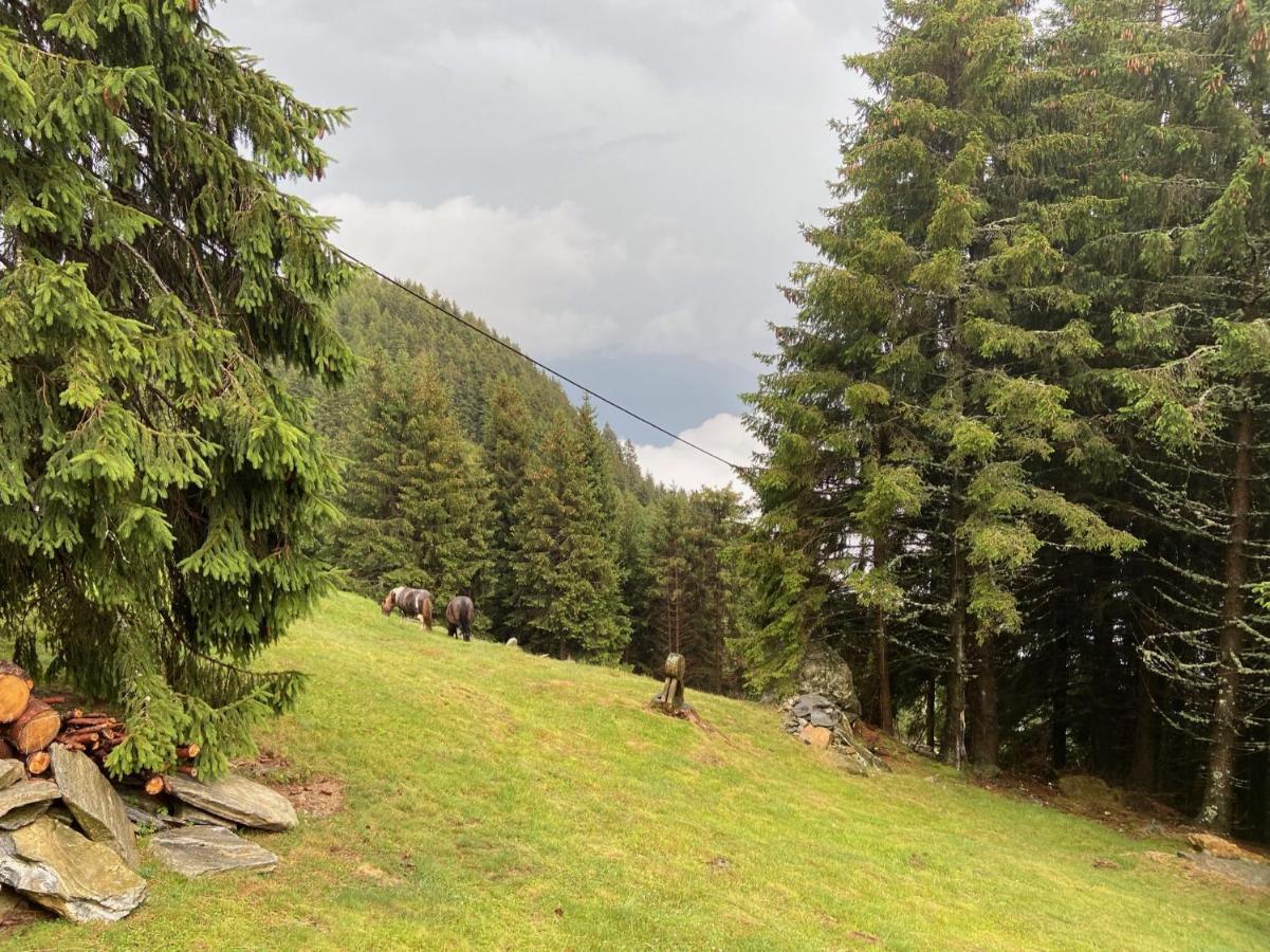 Do-Minus Boutique Home & Private Spa Ca Pedrot Mountain Cottage モンテ・カラッソ エクステリア 写真